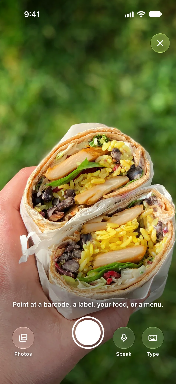 The food camera pointed at a chicken burrito cut in half, with the shutter, Photos, Speak and Type